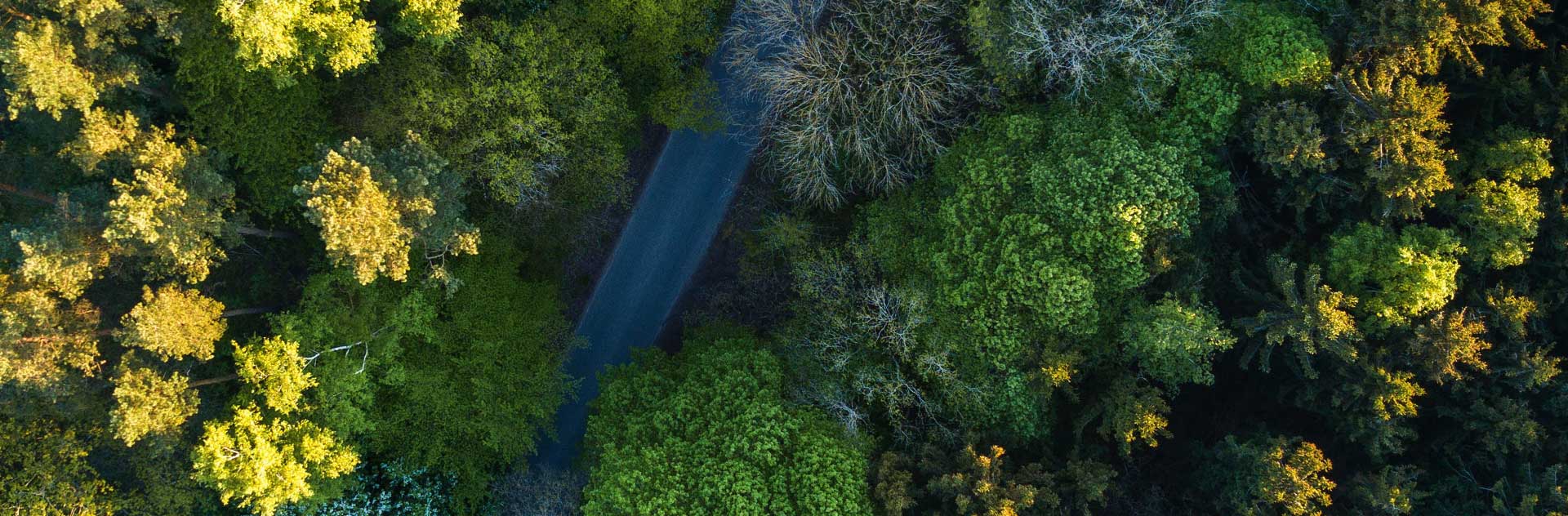 7790�ط�����(�й�)���޹�˾-�ٶȰٿ�