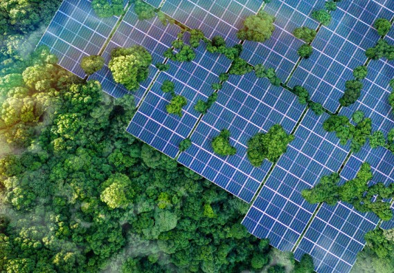 7790�ط�����(�й�)���޹�˾-�ٶȰٿ�