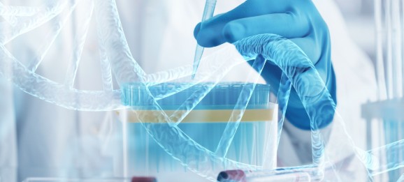 7790�ط�����(�й�)���޹�˾-�ٶȰٿ�