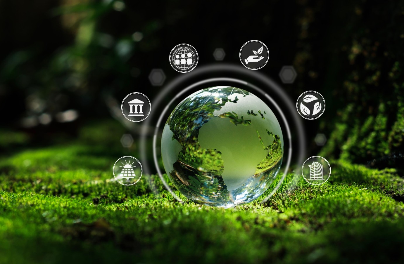 7790�ط�����(�й�)���޹�˾-�ٶȰٿ�